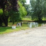 La marre de la propriété